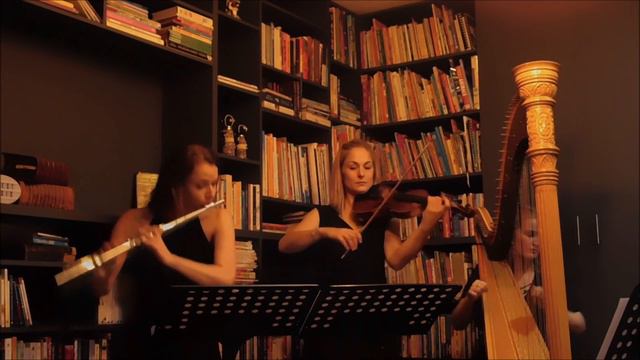 Shape of You - Flute, Violin, Harp - Zest Music смотреть онлайн