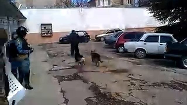 задержание с собакой К-9 ПМОН"БЕРКУТ"АР Крым.mp4 смотреть онлайн