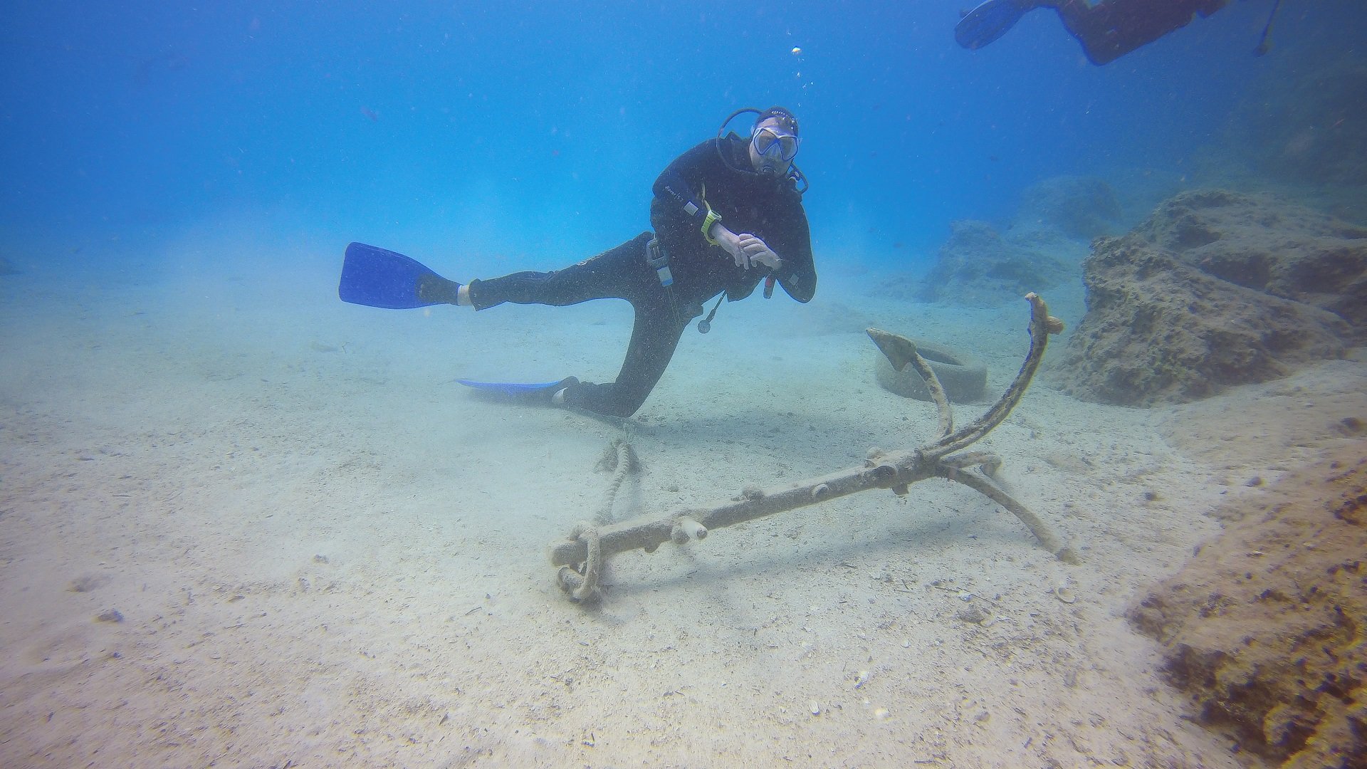 Рыбы и другие обитатели Средиземного моря