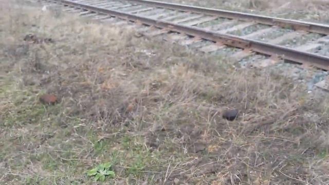 ни дня без рельса смотреть онлайн