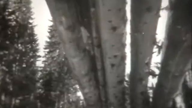 КРАСНОЯРСК.ХРОНИКА СССР смотреть онлайн