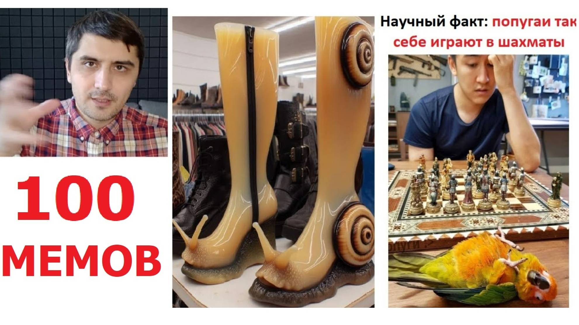 Подборка МЕМОВ. Попугай играет в шахматы и сапоги улитки #мемы #юмор #приколы смотреть онлайн