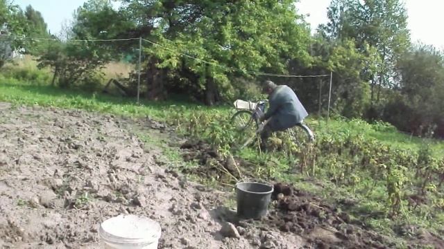 Август 2017 год копаем картошку.Мой велопомощник! смотреть онлайн