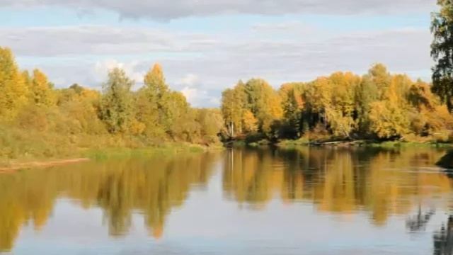 природа нашей тайги наш забытый кемеровский край смотреть онлайн