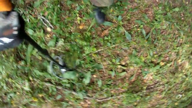 Кто ищет тот всегда!...... ...Minelab E-Trac. смотреть онлайн