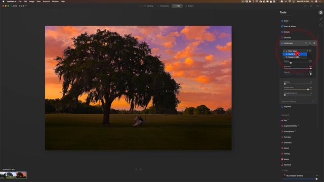 Replace Skies in Luminar AI смотреть онлайн