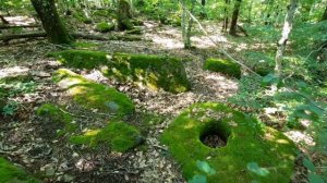 Очищение от сущностей. Дольмены на Храмовой горе в селе Возрождение под Геленджиком.