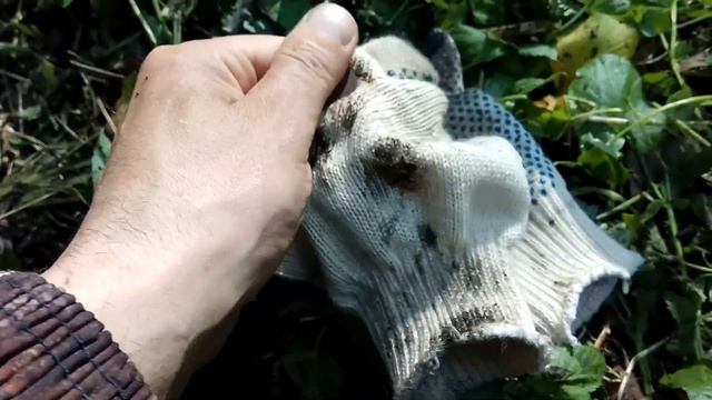 Всё таки кошелек,жирный такой кошель! смотреть онлайн