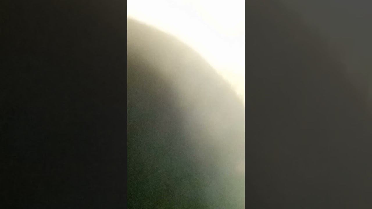 7 декабря 2023 г.