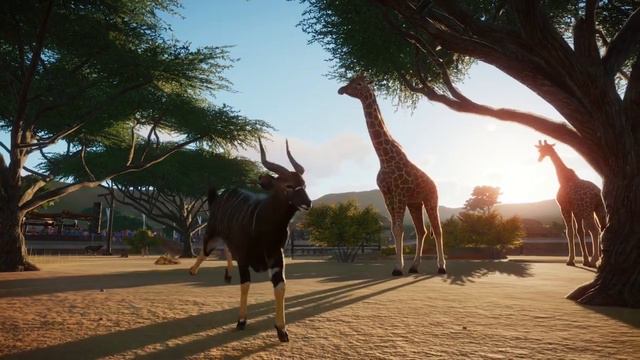 AS MELHORES DLCS DO PLANET ZOO смотреть онлайн