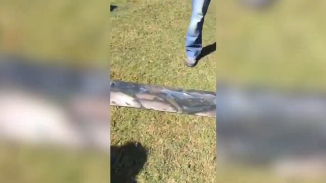 Пополнение озера форелью! смотреть онлайн