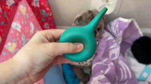 Басик заболел. Лечим. Делаем клизму и лаем лекарство