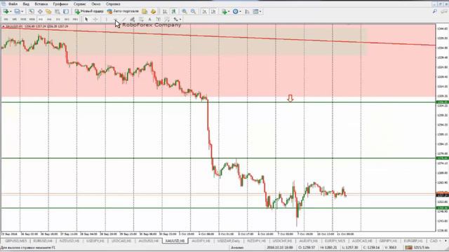 Обзор рынка по ТС Савицкого 11.10.16 смотреть онлайн