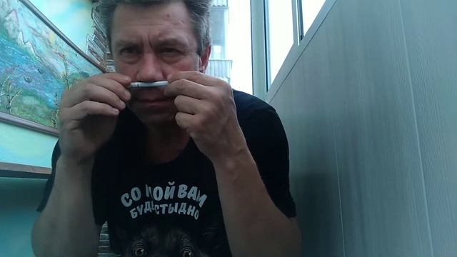 сигареты Nz Safari