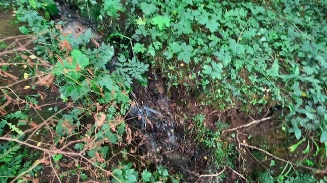 Водопад в д. Ершово смотреть онлайн
