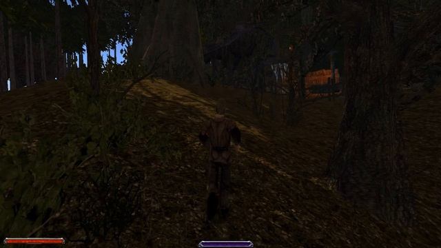 Демо версия локации Fising Village модификации Gothic 3 Alternative [#8] Бандиты и Лестер смотреть онлайн