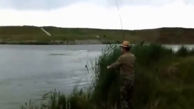 Рыбалка на поляне от Пал Палыча июнь 2016 смотреть онлайн