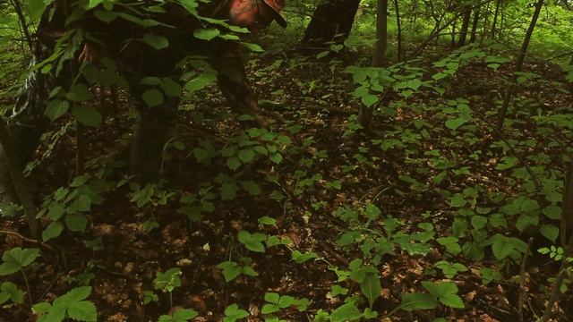 162. Первые белые грибы сезон 2022. За грибами 23 июня 2022 в Заокском районе Тульской области. смотреть онлайн