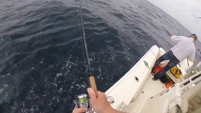 Bottom fishing for Grouper смотреть онлайн