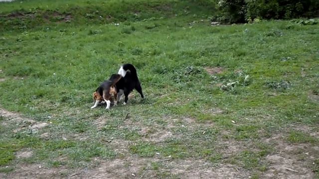 13 мая Пятница 2011 г. смотреть онлайн