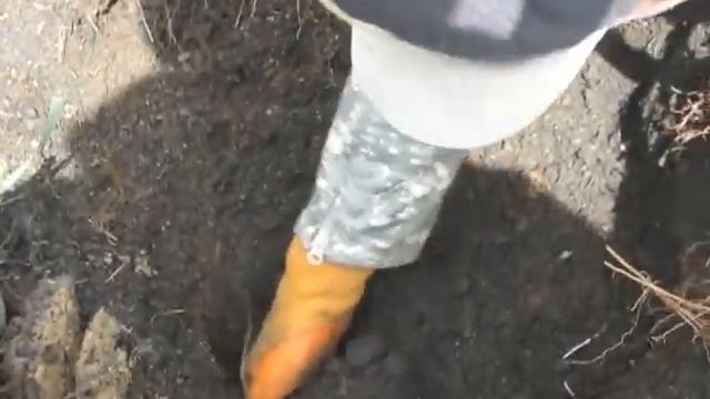 кошелек Екатерины 2, Павла 1 смотреть онлайн