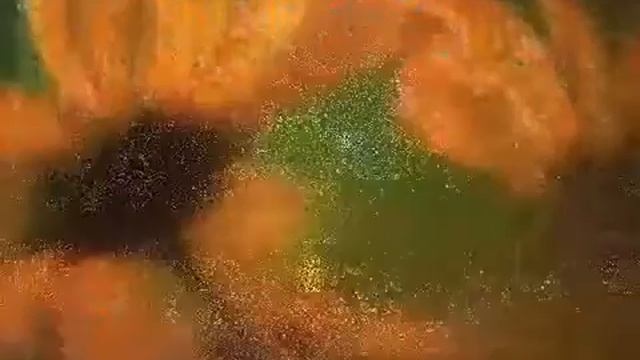 #мантрылюбви #мантрысчастья Маха - сильная мантра очищающая, ум, дух и тело. смотреть онлайн