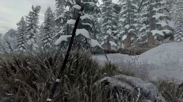 Skyrim Anniversary Edition Heavily Modded in 2021. A Snowy Walk. XSX. смотреть онлайн