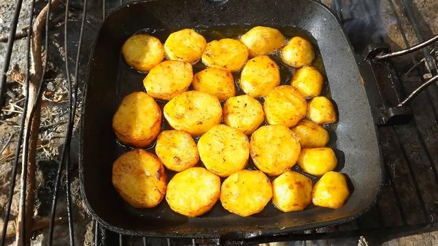 Gera Proga Su Bebro Uodega