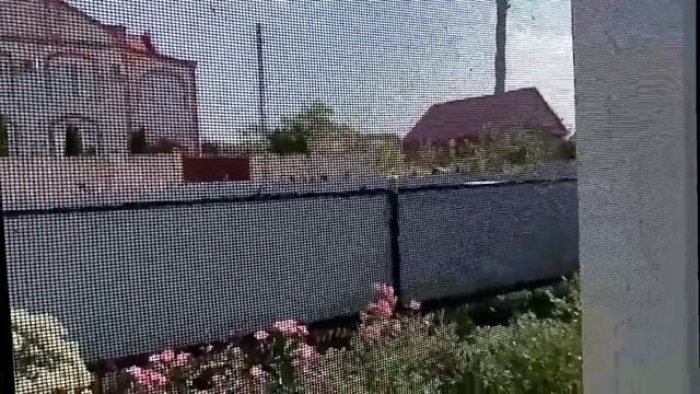 Душ Шарко для воробьёв! Жара! смотреть онлайн