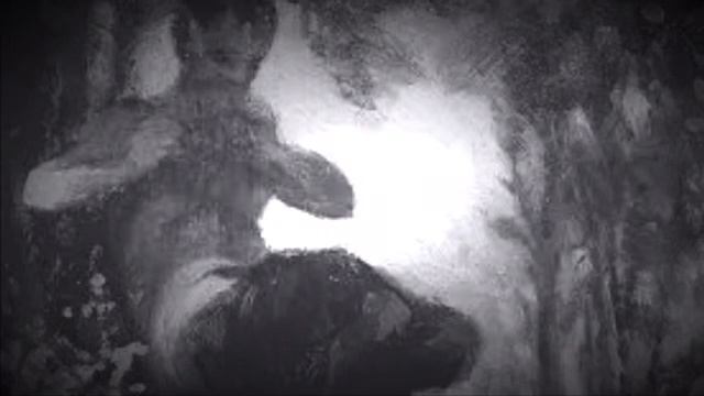 Debussy- Syrinx for flute solo смотреть онлайн