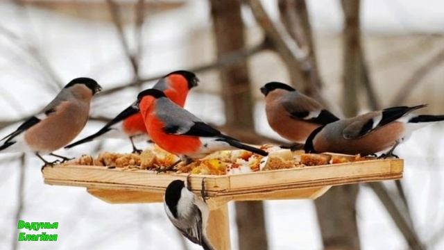 Заговор-Обряд встретить вторую половину.Заговор на любовь. смотреть онлайн