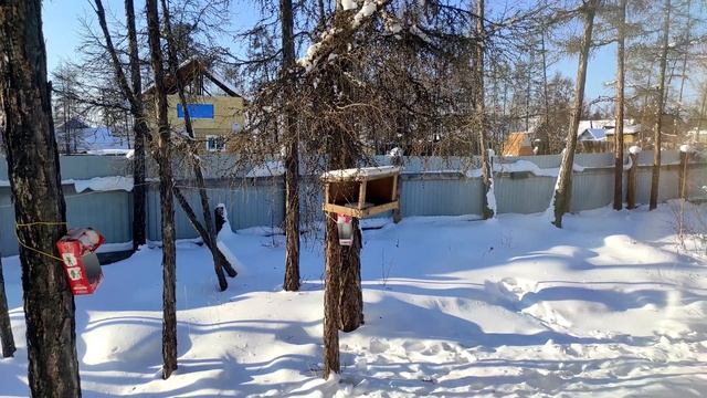 Проверка камеры смотреть онлайн
