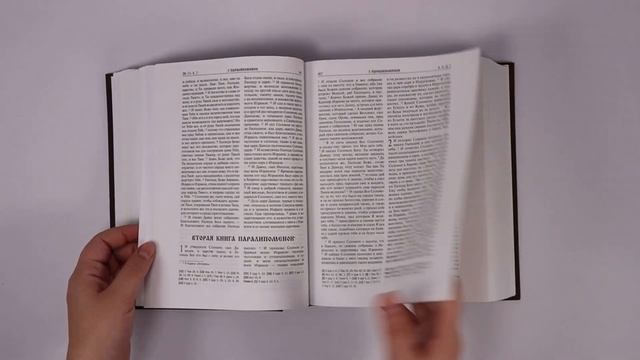 Библия с иллюстрациями Гюстава Доре (коричневая). Книги Священного писания: Ветхого и Нового Завета смотреть онлайн