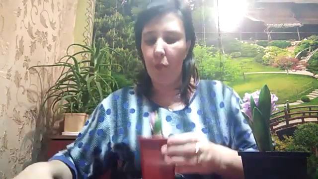 Посылки с магнитиками и семенами цветов