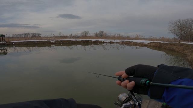 Zetrix Forra FRS-602XUL и хорошая прудовая форель смотреть онлайн