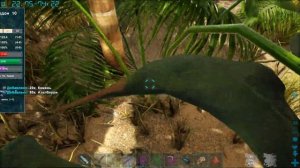 ARK ПТЕРАНОДОН ПРИРУЧЕНИЕ