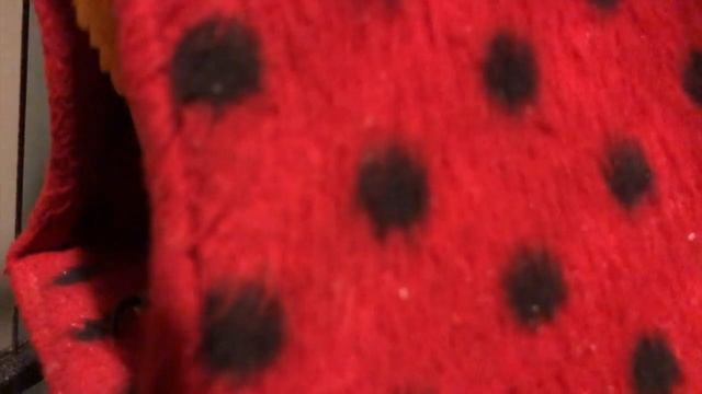 World Cup 2018 Round of 16, Sammie the parrot's animal oracle predictions смотреть онлайн