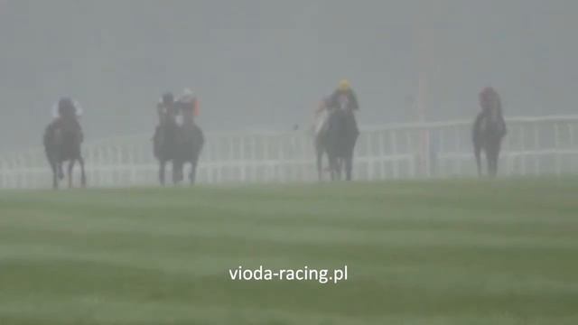 Gon. IV - 24.08.2014 - Agis (Dahess - Amina) смотреть онлайн