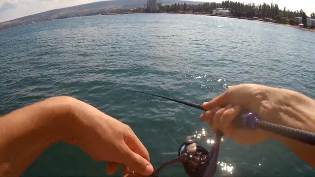 Сарган на Tsurinoya Elf смотреть онлайн