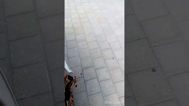 22.08.21 аквапарк Лебяжий смотреть онлайн