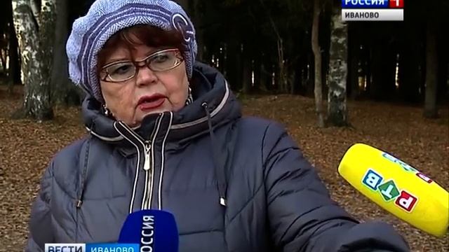 В Иванове в парке Харинка появятся новые спортивные площадки с тренажерами смотреть онлайн