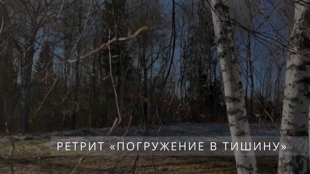 Чем полезны ретриты и медитация | Випассана ретрит смотреть онлайн