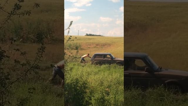 Бизон трек шоу 2016 смотреть онлайн