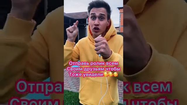 Сколько стоит самая дорогая собака в мире??? смотреть онлайн