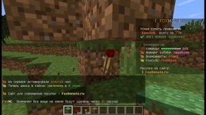 ?? КАК КРАШНУТЬ ЛЮБОЙ СЕРВЕР В МАЙНКРАФТЕ | FOXMC ??