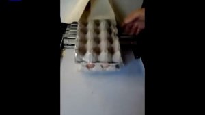 Упаковка яиц по 12 штук