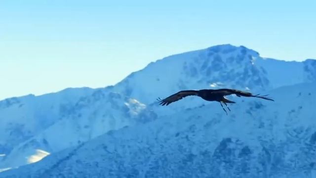 Родина - мать!