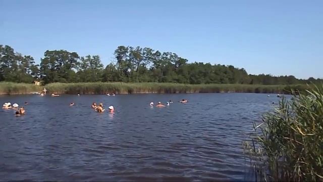Целебные озера в Херсонской области смотреть онлайн