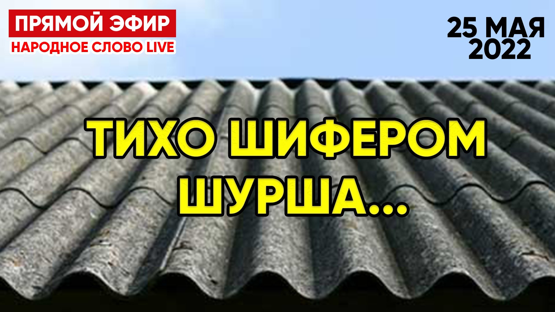 ⚡Новости Спецоперации 25 мая 2022 Народное Слово Live смотреть онлайн