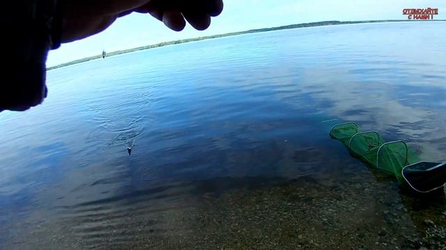 РЫБАЛКА НА ВОЛГЕ. Хорошее начало смотреть онлайн